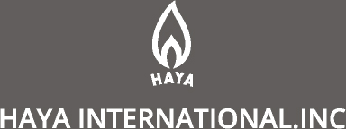 HAYA INTERNATIONAL.INC